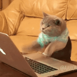 codingcat