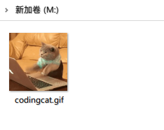 image-20211022124227265
